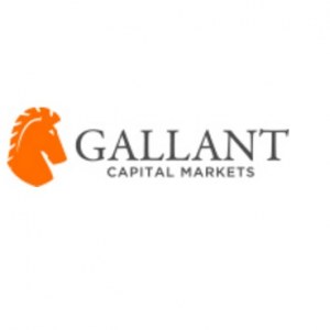 Gallant Capital Markets (GCMFX)